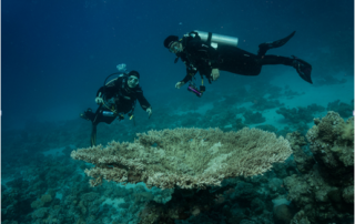 Heiter-souveräne Gelassenheit wahren