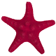 Seestern klein