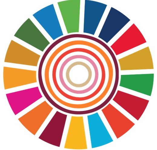 IDG for SDG